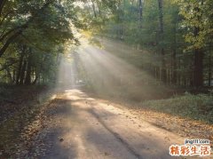 3 改善粗大毛孔 肌肤紧致变光滑