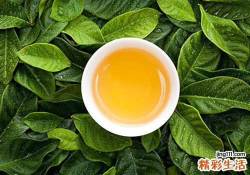 牛蒡茶的功效和作用