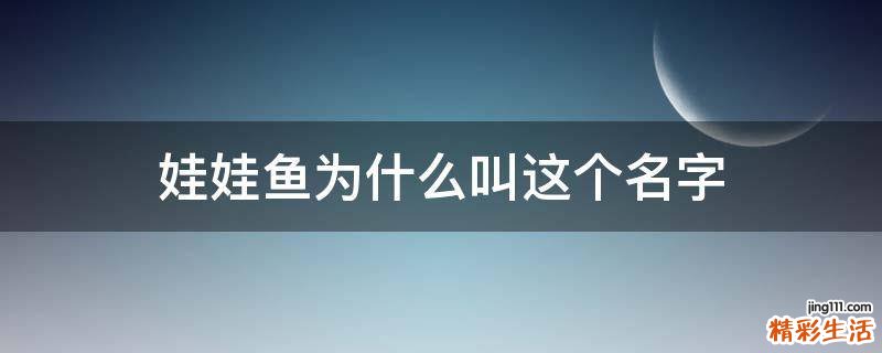 娃娃鱼为什么叫这个名字
