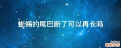 蜥蜴的尾巴断了可以再长吗