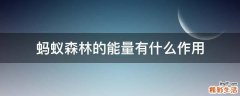 蚂蚁森林的能量有什么作用