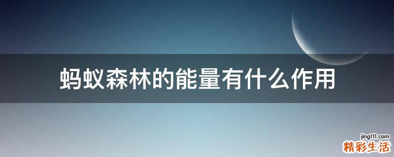 蚂蚁森林的能量有什么作用