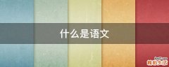什么是语文