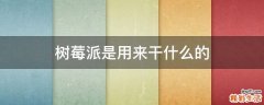 树莓派是用来干什么的
