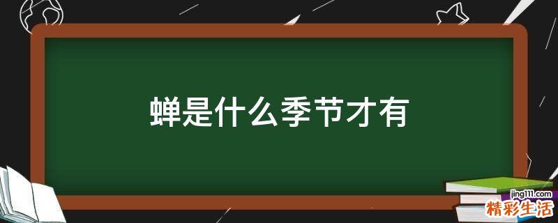 蝉是什么季节才有