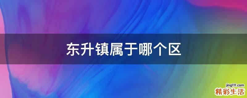 东升镇属于哪个区