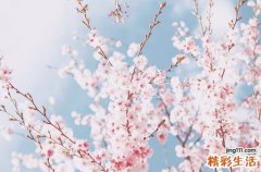 梁敏：牙龈出血莫忽视 当心牙周炎找上你
