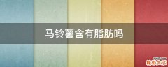 马铃薯含有脂肪吗