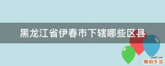 黑龙江省伊春市下辖哪些区县