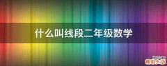 什么叫线段二年级数学