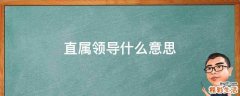直属领导什么意思