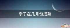 李子在几月份成熟
