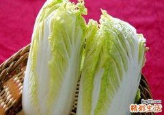 大白菜的营养价值 大白菜搭配其他食材的功效