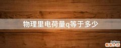 物理里电荷量q等于多少