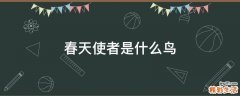 春天使者是什么鸟