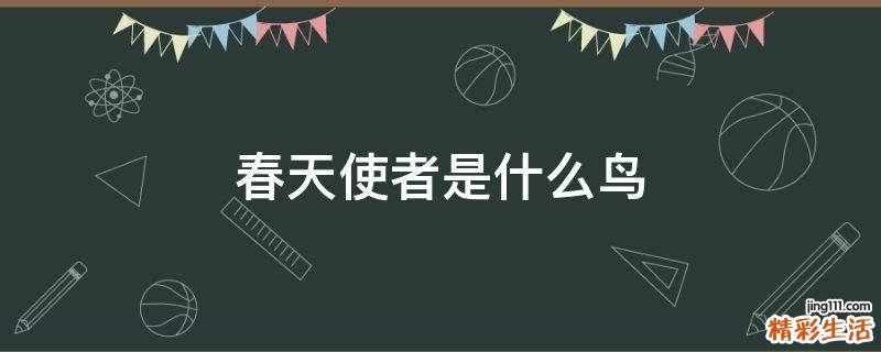 春天使者是什么鸟