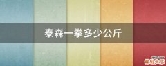 泰森一拳多少公斤