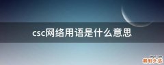 csc网络用语是什么意思
