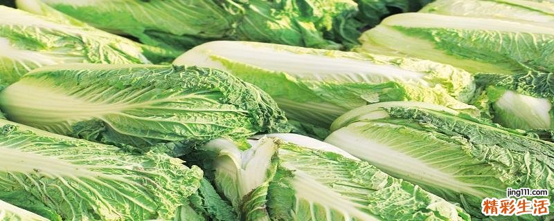 大白菜有苦味是怎么回事 大白菜有苦味能吃吗