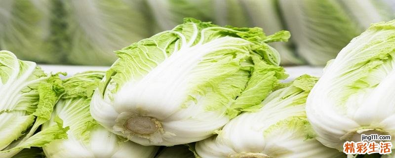 大白菜生吃好吗 大白菜怎么吃好