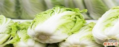 大白菜冬天怎样储存 大白菜冷冻后可以吃吗