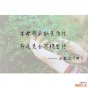 鲜红斑痣