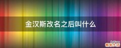 金汉斯改名之后叫什么