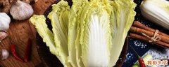 大白菜可以放在冰箱里吗 大白菜常温可以放多久