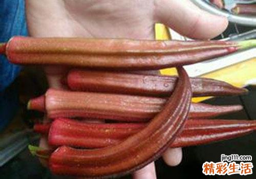 红秋葵的功效与作用