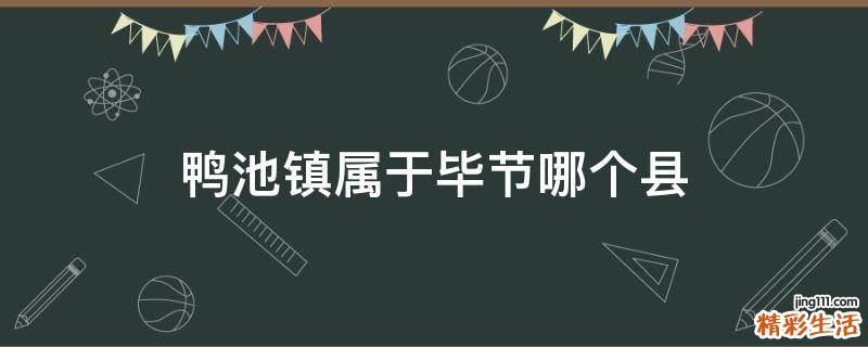 鸭池镇属于毕节哪个县