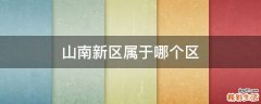 山南新区属于哪个区