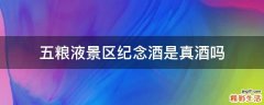 五粮液景区纪念酒是真酒吗