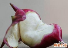 菱角不能和什么一起吃