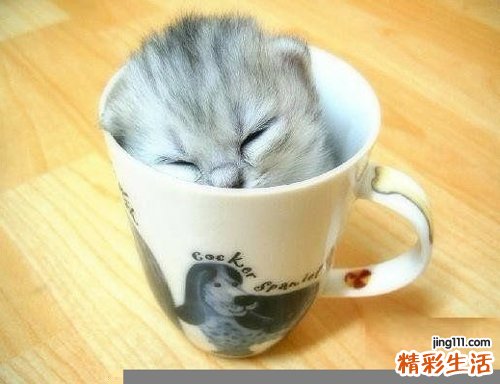 下腹局部疼痛的原因_下腹局部疼痛是怎么引起的