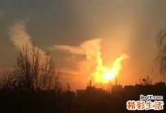 3 婴儿手足搐搦症