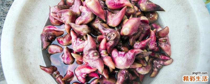 菱角的口感和板栗一样吗 怎么知道菱角煮熟了没