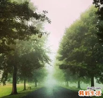 12种最常见的心理陷阱让你沉溺得无法自拔