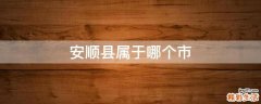 安顺县属于哪个市