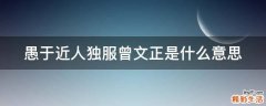 愚于近人独服曾文正是什么意思