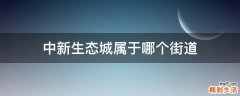 中新生态城属于哪个街道