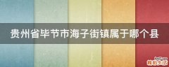 贵州省毕节市海子街镇属于哪个县