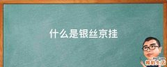 什么是银丝京挂