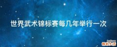 世界武术锦标赛每几年举行一次