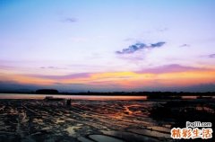 睡觉前不刷牙会引发慢性咽炎