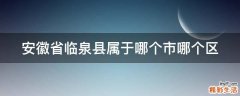 安徽省临泉县属于哪个市哪个区