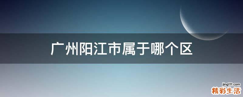 广州阳江市属于哪个区
