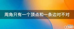 周角只有一个顶点和一条边对不对