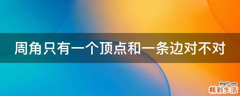 周角只有一个顶点和一条边对不对