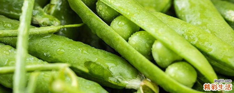 绿豌豆发芽怎么吃 豌豆没熟能吃吗