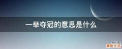 一举夺冠的意思是什么